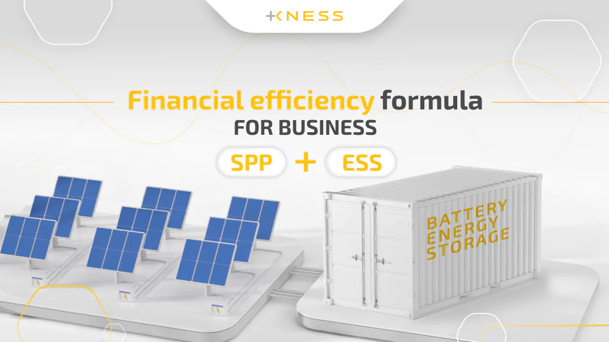 web_eng_СЕС+УЗЕ