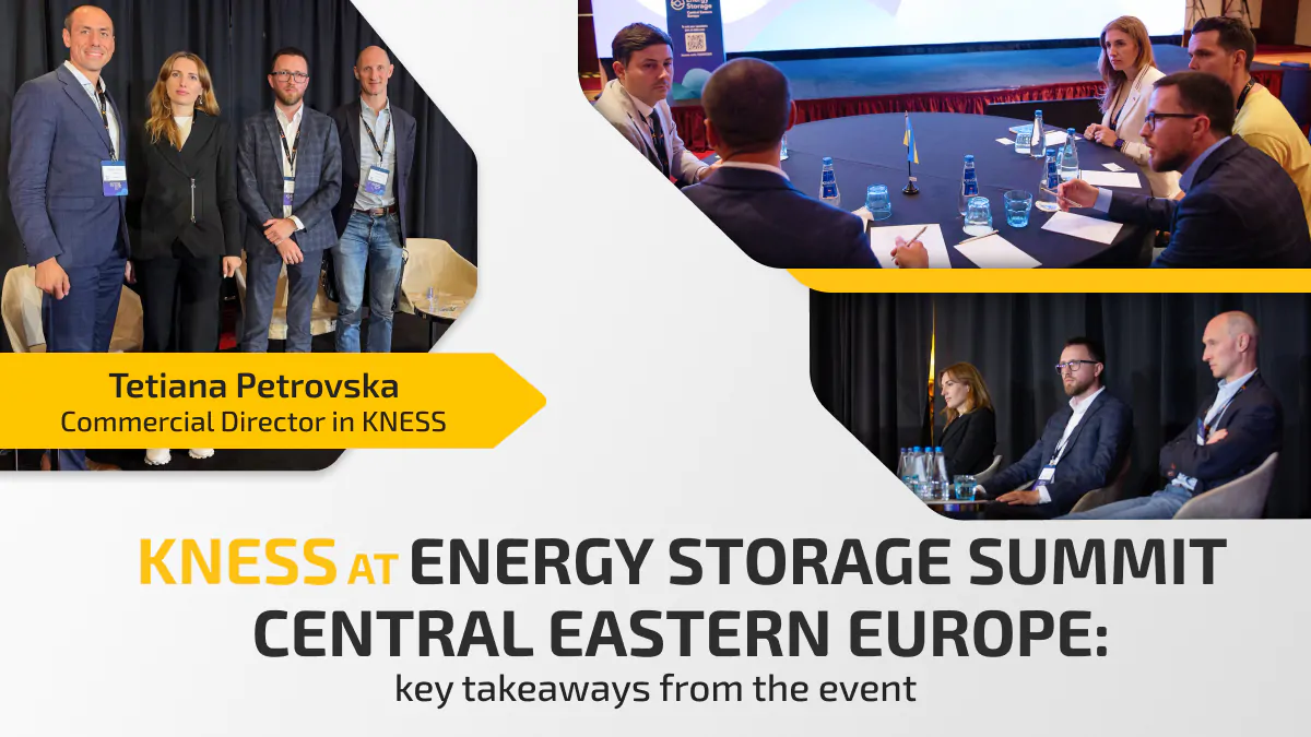 WEB post - Energy Storage Summit - англ